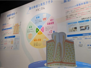 スクリーンショット 2026-03-20 092707.png